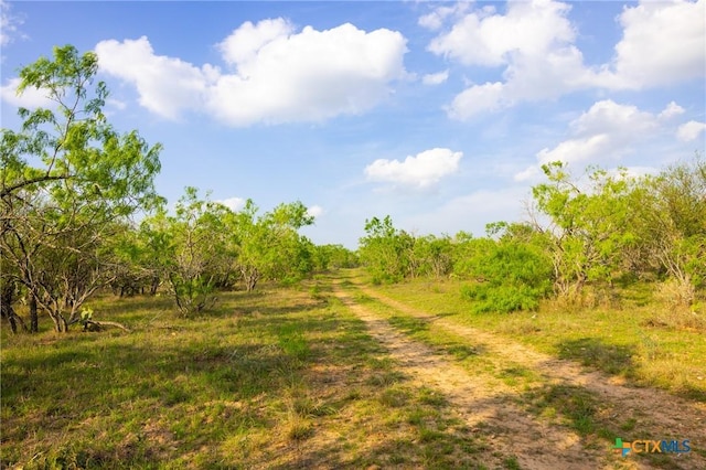 000 Old Seguin Luling Rd, Seguin, TX 78155 - photo 15