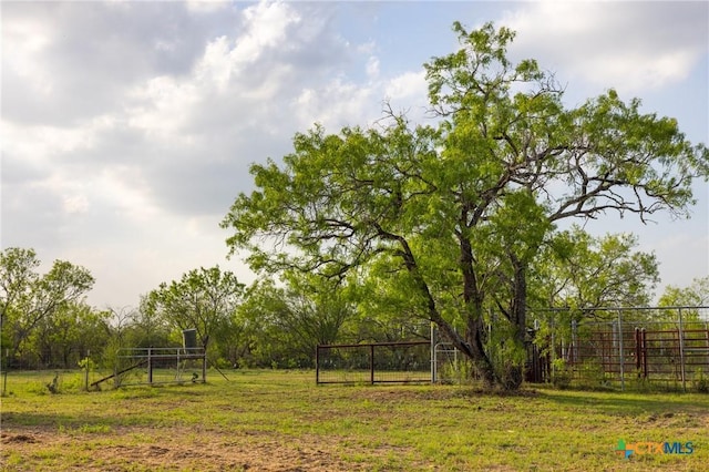 000 Old Seguin Luling Rd, Seguin, TX 78155 - photo 18