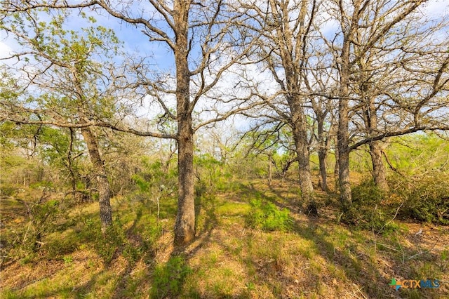 000 Old Seguin Luling Rd, Seguin, TX 78155 - photo 19