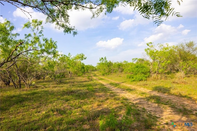 000 Old Seguin Luling Rd, Seguin, TX 78155 - photo 5