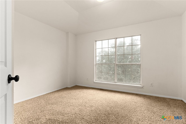 unfurnished room featuring carpet flooring