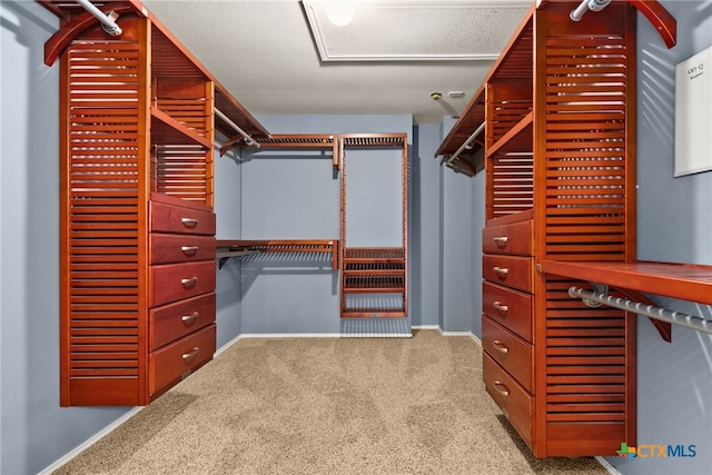 spacious closet featuring light carpet