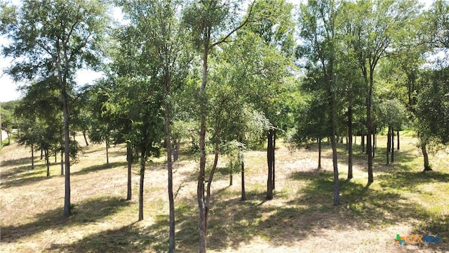 LOT4 Smoke Signal Rd, Belton, TX 76513 - photo 5