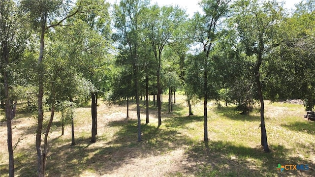 LOT4 Smoke Signal Rd, Belton, TX 76513 - photo 3