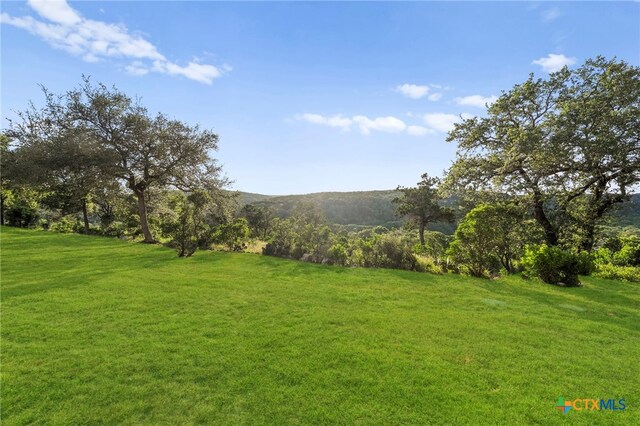 5310 River Oaks Dr, New Braunfels, TX 78132 - view of grassy yard