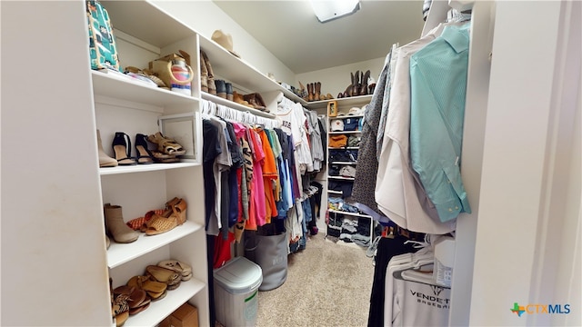 spacious closet with carpet