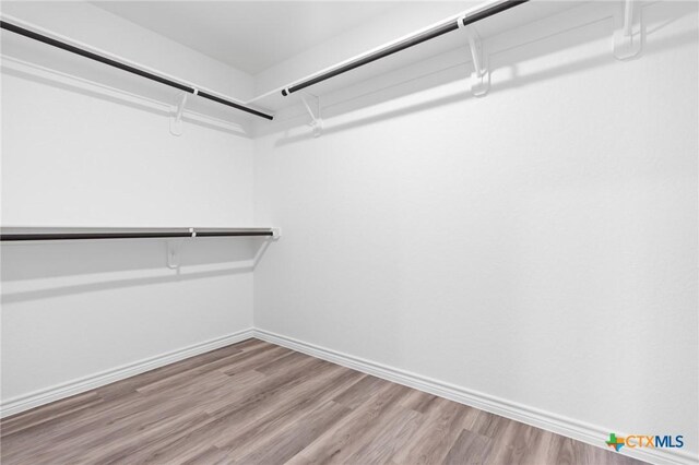 spacious closet featuring wood finished floors