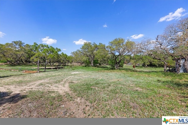 view of yard with a rural view