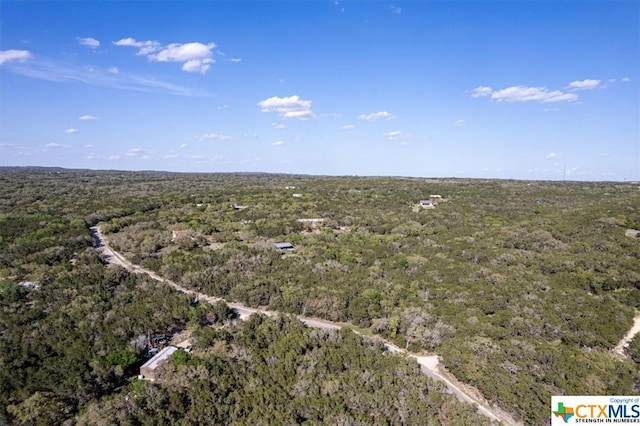 111 Circle Dr, Wimberley, TX 78676 - photo 40