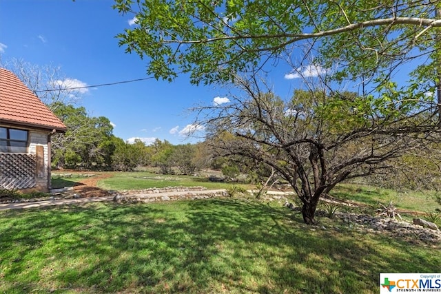 view of yard