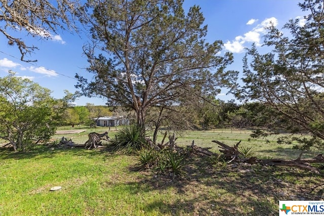 view of yard featuring a rural view