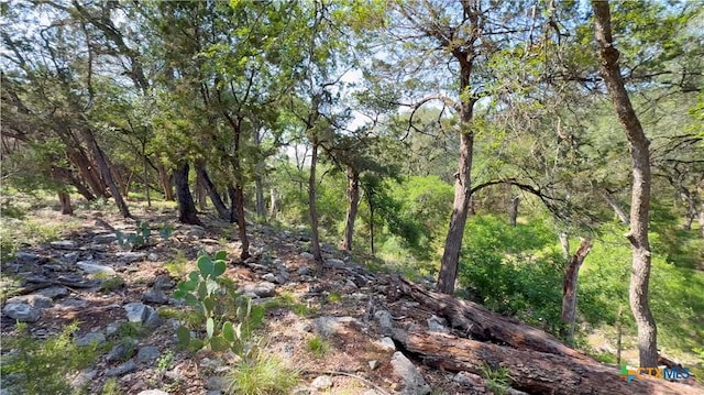 10329 Montanio Dr, New Braunfels, TX 78132 - view of wooded area
