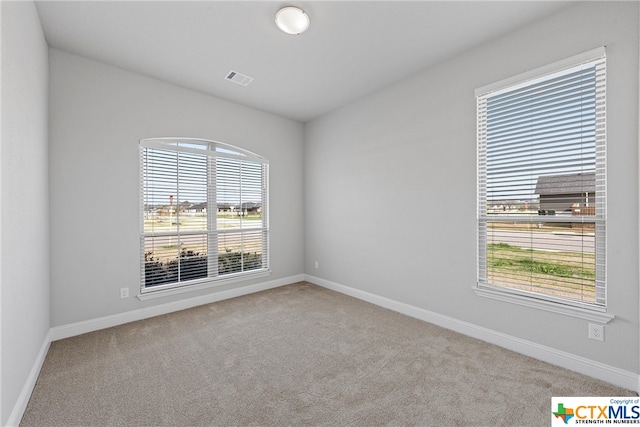 carpeted empty room featuring a healthy amount of sunlight