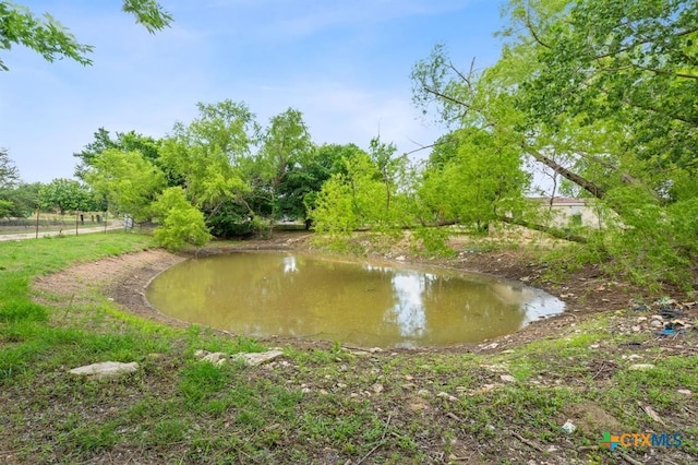 9900 Shively Ln, Austin, TX 78747 - photo 6