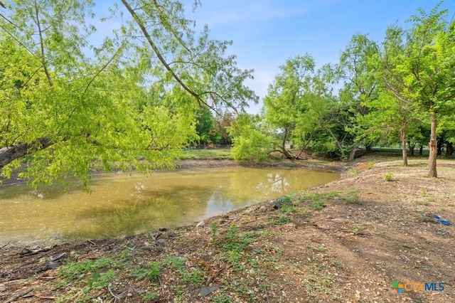 9900 Shively Ln, Austin, TX 78747 - photo 8