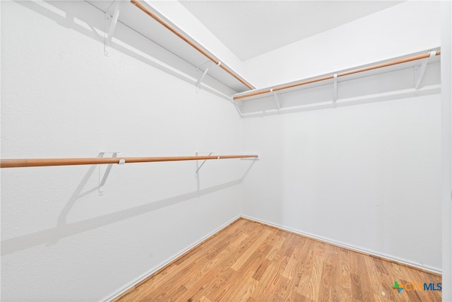 walk in closet featuring hardwood / wood-style flooring