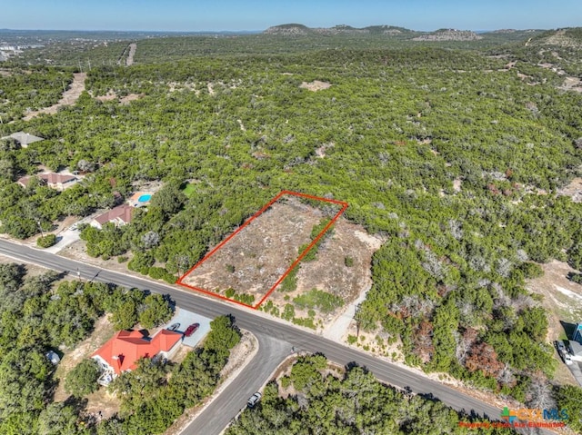 Listing photo 2 for 869 Flaman Rd, Canyon Lake TX 78133