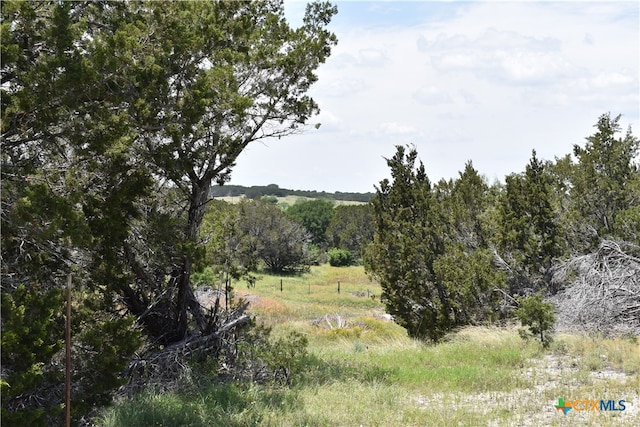 Listing photo 3 for 122 Reserve Way, Lampasas TX 76550