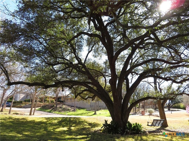 view of yard