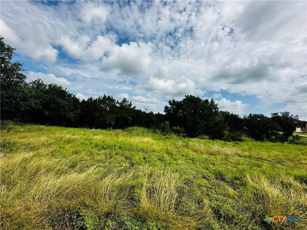 156 Red Maple Cir, Killeen, TX 76549