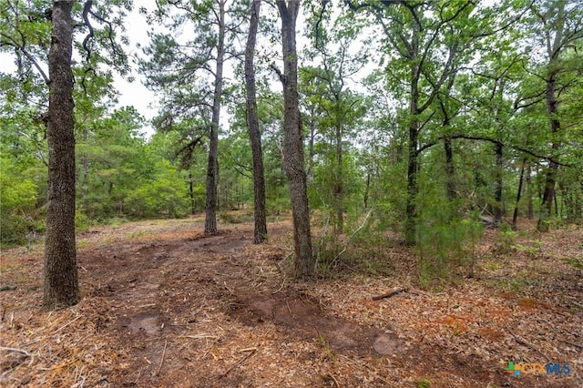 492 S Old Potato Rd, Paige, TX 78659