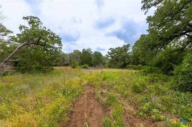 492 S Old Potato Rd, Paige, TX 78659