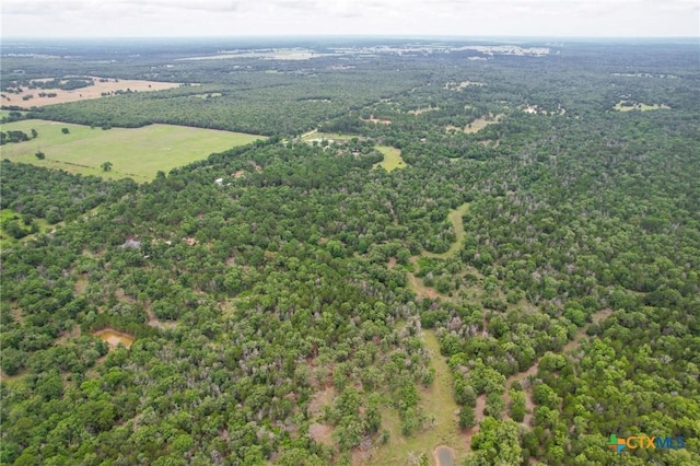 492 S Old Potato Rd, Paige, TX 78659