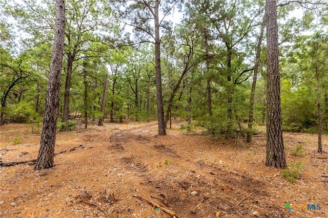 492 S Old Potato Rd, Paige, TX 78659
