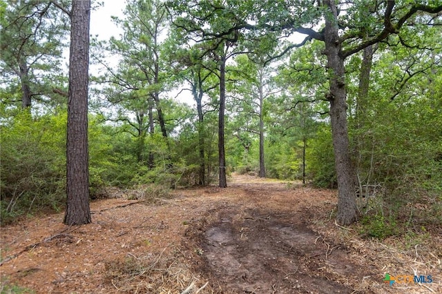 492 S Old Potato Rd, Paige, TX 78659