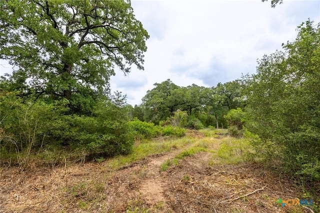 492 S Old Potato Rd, Paige, TX 78659