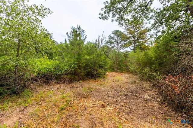 492 S Old Potato Rd, Paige, TX 78659