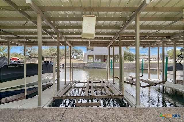 dock area with a water view