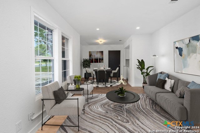 living room with wood-type flooring