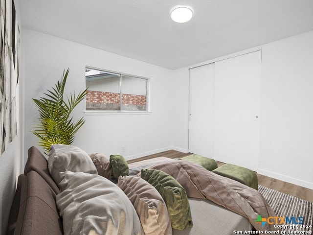 living room featuring wood-type flooring