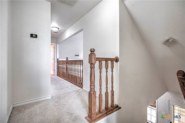 hallway featuring carpet