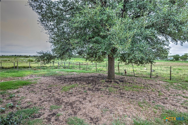 view of yard with a rural view