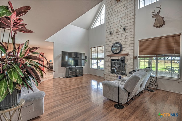 living room with a fireplace, a wealth of natural light, and hardwood / wood-style flooring