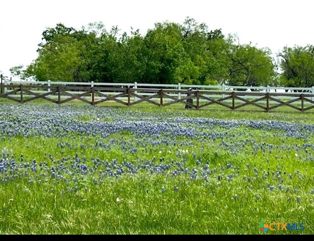 view of yard featuring a rural view