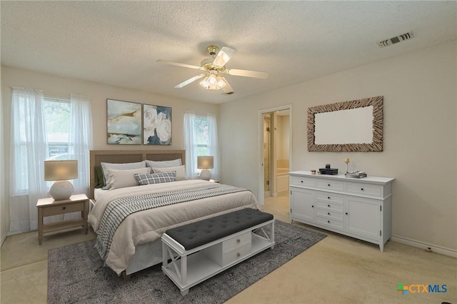 127 Maple Dr, Mountain City, TX 78610 - bedroom featuring multiple windows, light carpet, a textured ceiling, a ceiling fan, and connected bathroom