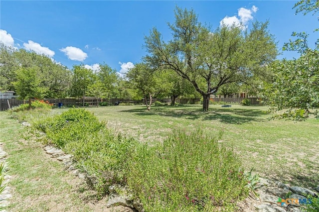 127 Maple Dr, Mountain City, TX 78610 - view of yard
