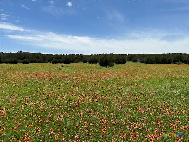 LOT158 Addax Ct, Lampasas TX, 76550 land for sale