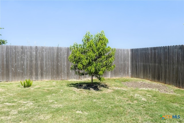 212 Mccoy Ln, Hutto, TX 78634 - photo 23