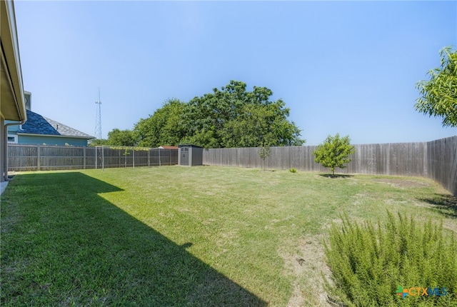 212 Mccoy Ln, Hutto, TX 78634 - photo 24