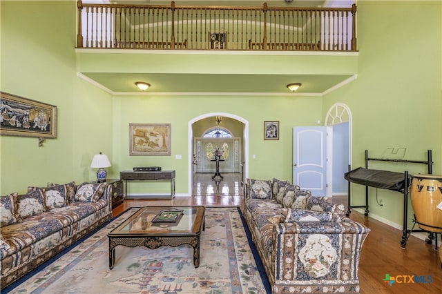 living room with a high ceiling and hardwood / wood-style floors