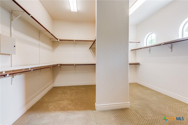 spacious closet featuring light colored carpet