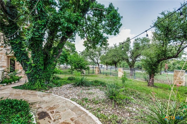 1027 Las Brisas Dr, Canyon Lake, TX 78133 - view of yard