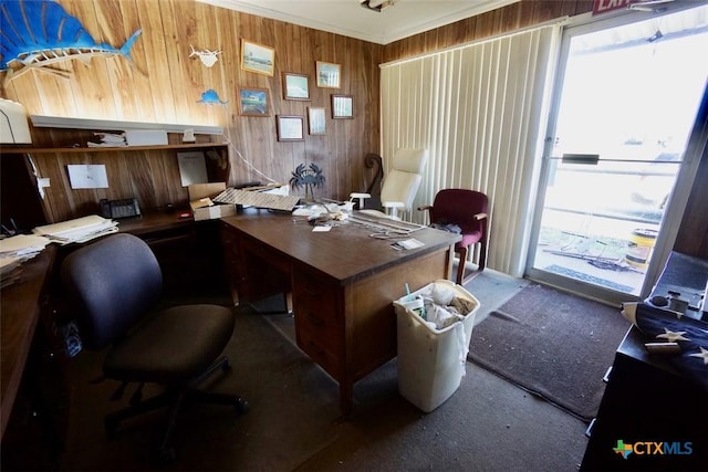 office space featuring ornamental molding, carpet flooring, and wood walls