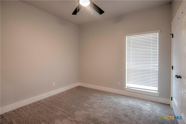 223 Slippery Elm Dr, Nolanville, TX 76559 - photo 16