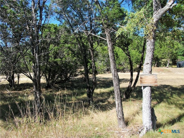 8151 Rebecca Creek Rd, Spring Branch, TX 78070