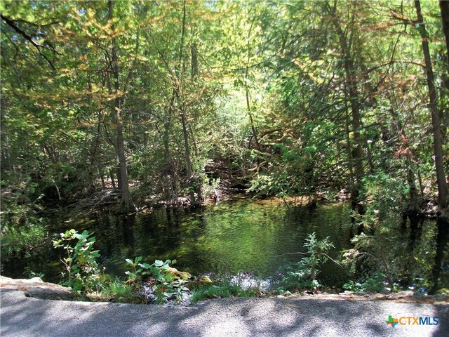 8151 Rebecca Creek Rd, Spring Branch, TX 78070
